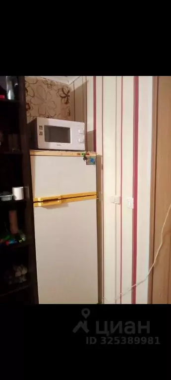 Комната Пермский край, Пермь бул. Гагарина, 81/4 (18.0 м) - Фото 2