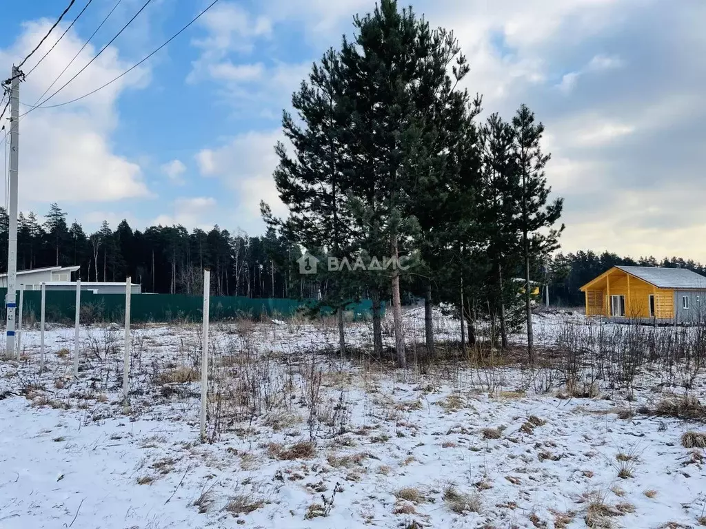 Участок в Московская область, Лосино-Петровский городской округ, д. ... - Фото 0