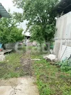 Участок в Белгородская область, Алексеевский муниципальный округ, с. ... - Фото 1