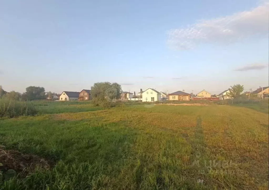 Участок в Воронежская область, с. Новая Усмань пер. Первомайский, 10/1 ... - Фото 1