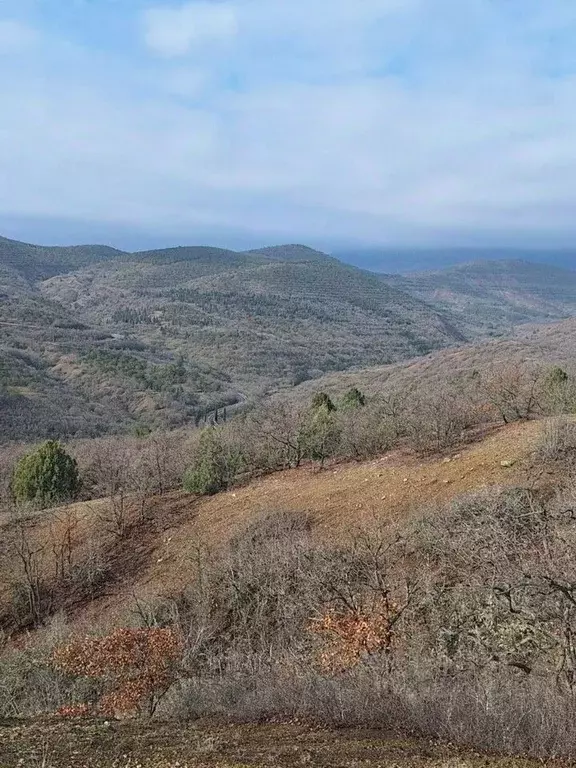 Участок в Крым, Алушта муниципальный округ, с. Приветное ул. Горького, ... - Фото 1