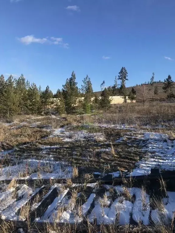 Участок в Бурятия, Иволгинский район, Сотниковское с/пос, с. Сотниково ... - Фото 1