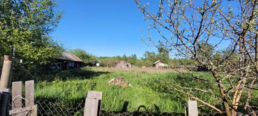 Участок в Тверская область, Конаковский муниципальный округ, д. ... - Фото 1