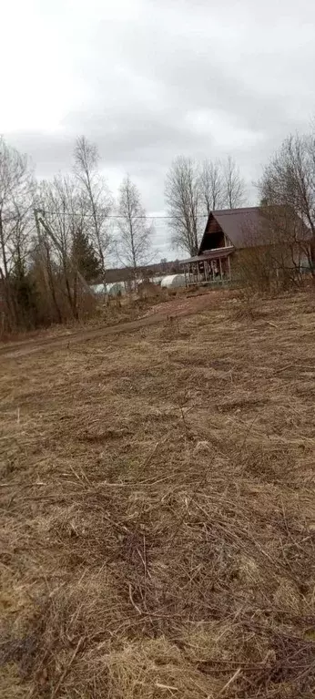 Участок в Ленинградская область, Бокситогорский район, Самойловское ... - Фото 1
