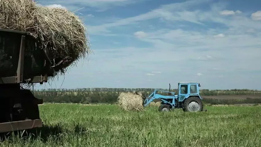 Производственное помещение в Алтайский край, Угловский район, ... - Фото 0