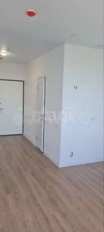 Квартира-студия, 24,1 м, 8/28 эт. - Фото 1