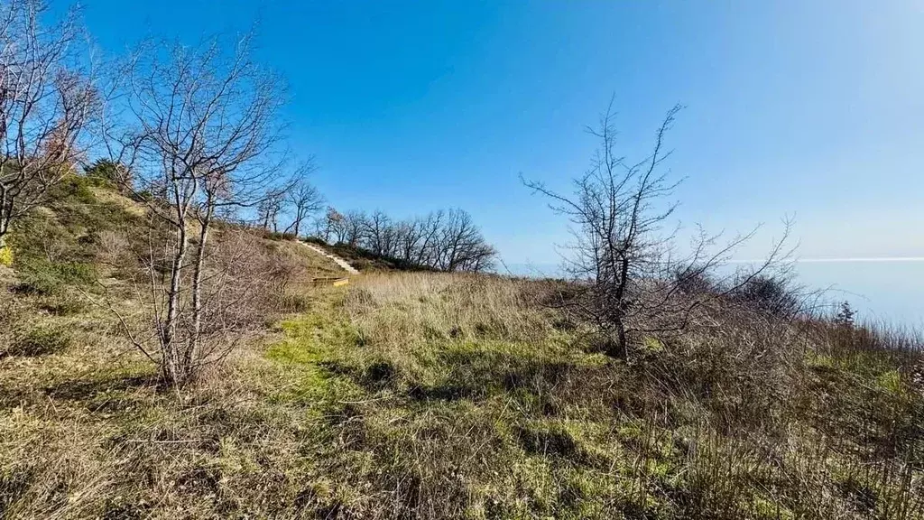Участок в Крым, Алушта муниципальный округ, с. Пушкино  (25.0 сот.) - Фото 1