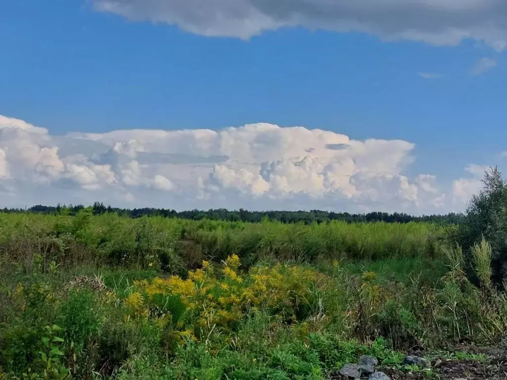 Участок в Хабаровский край, Хабаровский район, Тополевское с/пос, с. ... - Фото 2