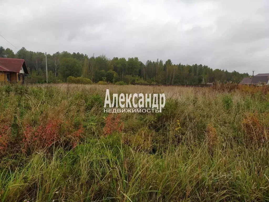 Участок в Новгородская область, Чудовский район, Трегубовское с/пос, ... - Фото 1