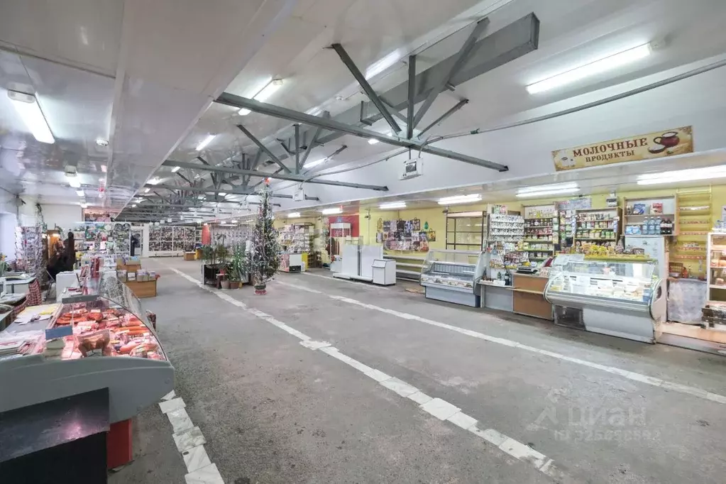 Торговая площадь в Томская область, Томск ул. Сергея Лазо, 3П (470 м) - Фото 2