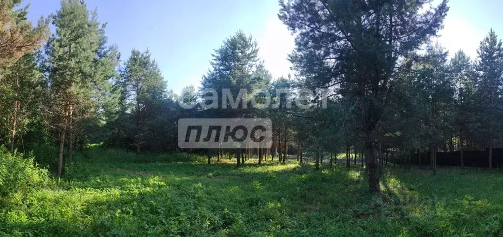 Участок в Нижегородская область, Богородский муниципальный округ, д. ... - Фото 1