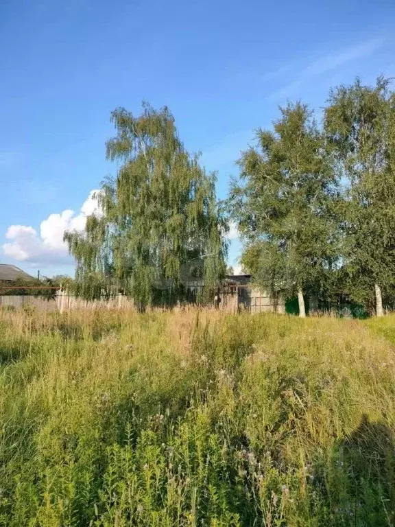 Дом в Нижегородская область, Выкса ул. Дзержинского, 24 (50 м) - Фото 1