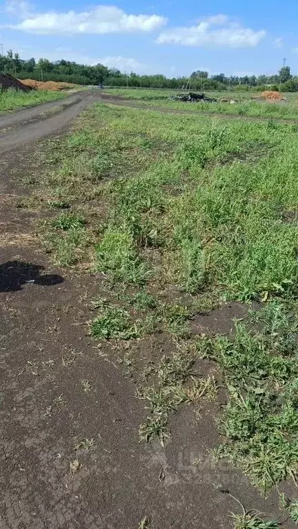 Участок в Башкортостан, Стерлитамакский район, Красноярский сельсовет, ... - Фото 1