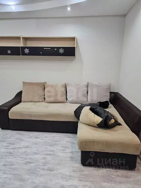 1-к кв. Ямало-Ненецкий АО, Новый Уренгой Восточный мкр, 6/4А (36.0 м) - Фото 1