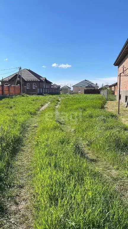 Участок в Адыгея, Майкоп городской округ, пос. Западный ул. Светлая ... - Фото 0