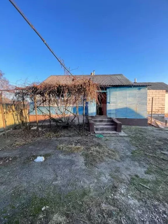 Дом в Белгородская область, Волоконовский район, с. Староивановка ... - Фото 1