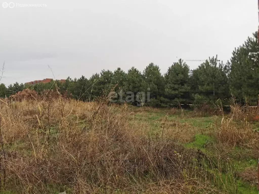 65 000 000 Руб., Участок в Краснодар, Фестивальный микрорайон, улица  Новицкого (9.1 м), Купить земельный участок в Краснодаре, ID объекта -  20007539654