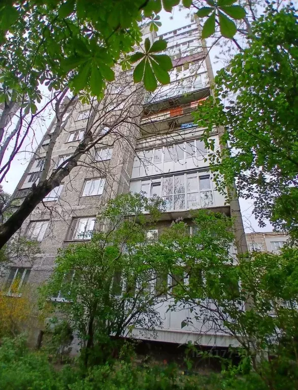 3-к кв. Калининградская область, Калининград ул. Грига, 15 (58.0 м) - Фото 0