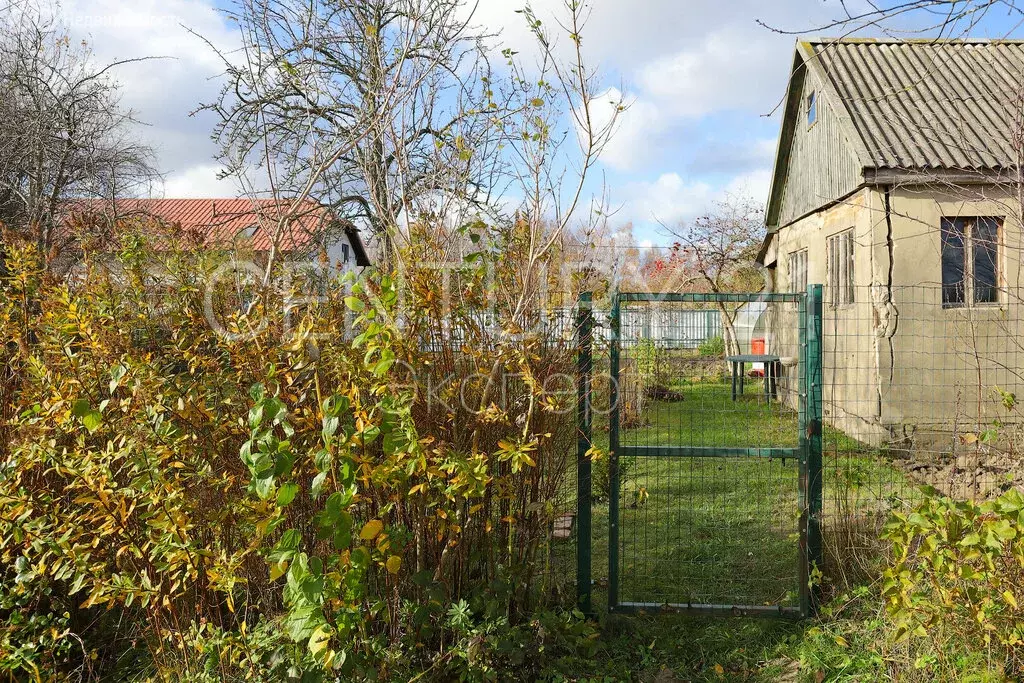 Дом в Калининградская область, Зеленоградск (20 м) - Фото 2