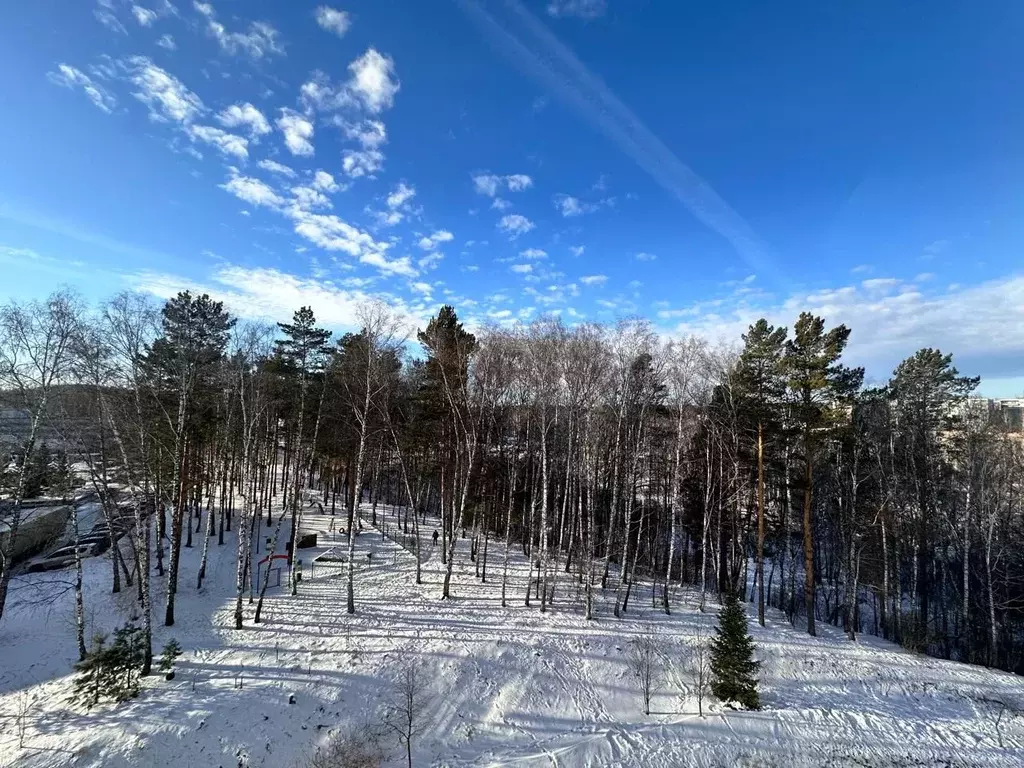 2-к кв. Новосибирская область, Кольцово рп ул. Вознесенская, 6 (63.0 ... - Фото 0