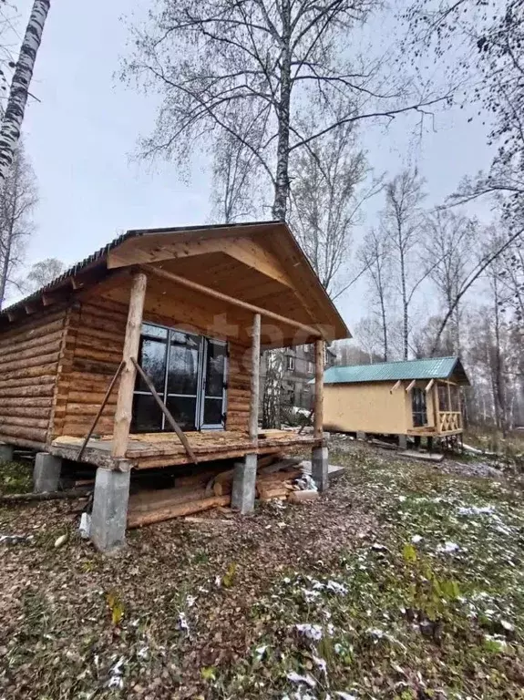Участок в Алтайский край, Алтайский район, пос. Катунь Советская ул., ... - Фото 0