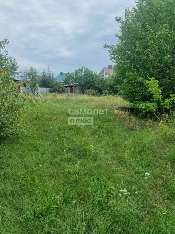 Участок в Воронежская область, Новоусманский район, пос. Отрадное ул. ... - Фото 2