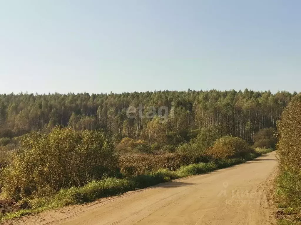 Участок в Смоленская область, Хиславичский муниципальный округ, д. ... - Фото 0