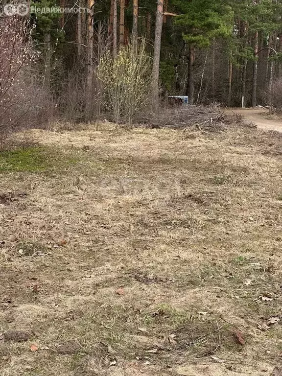 Участок в Тверская область, Калининский муниципальный округ, село ... - Фото 0