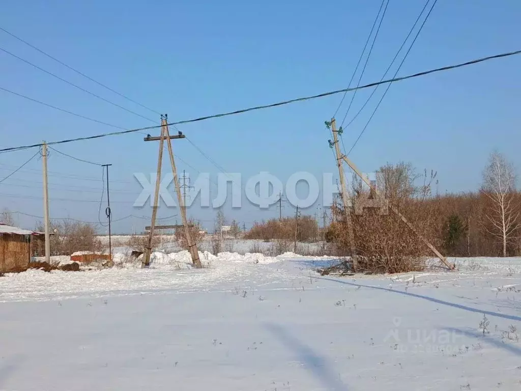 Участок в Новосибирская область, Колывань рп ул. Соловьева (11.67 ... - Фото 2