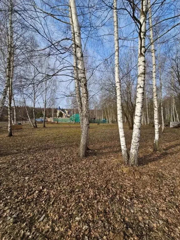 Участок в Московская область, Мытищи городской округ, д. Никульское ... - Фото 1