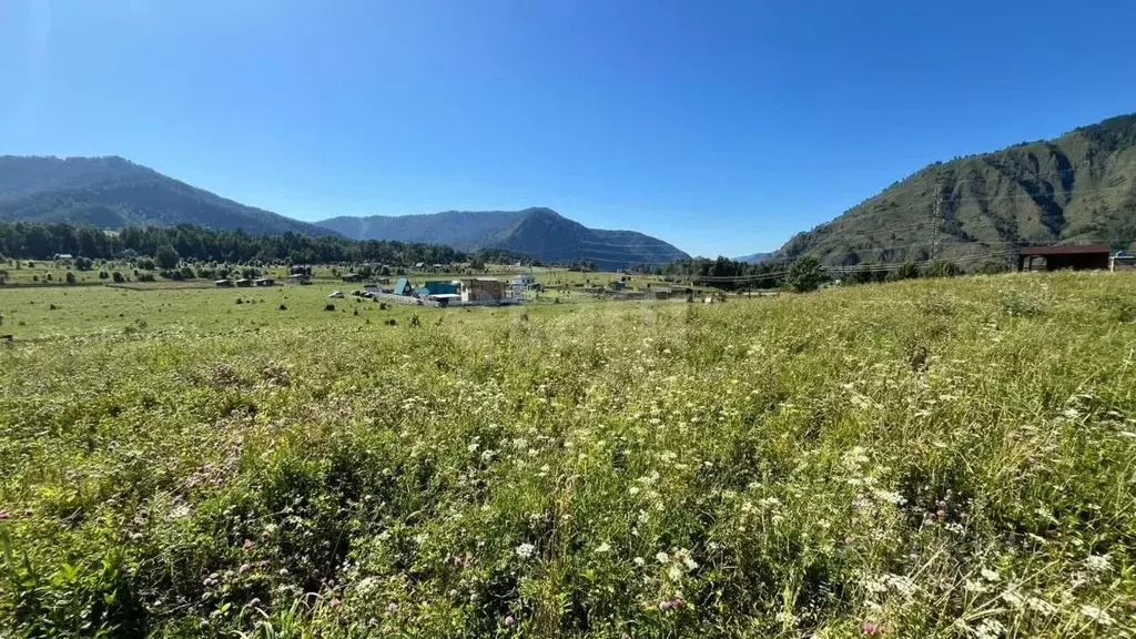 Участок в Алтай, Чемальский район, с. Анос Центральная ул., 41 (10.0 ... - Фото 0