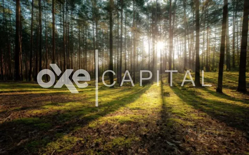 Участок в Московская область, Одинцовский городской округ, пос. ... - Фото 1