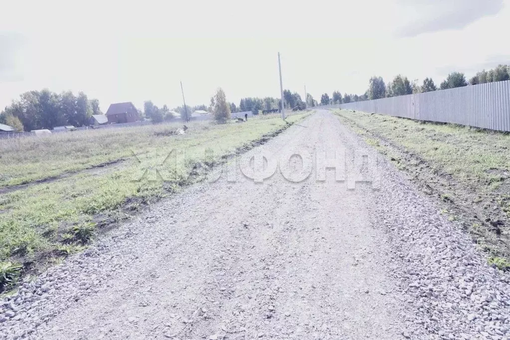 Участок в Новосибирская область, Коченевский район, Витязь садовое ... - Фото 1