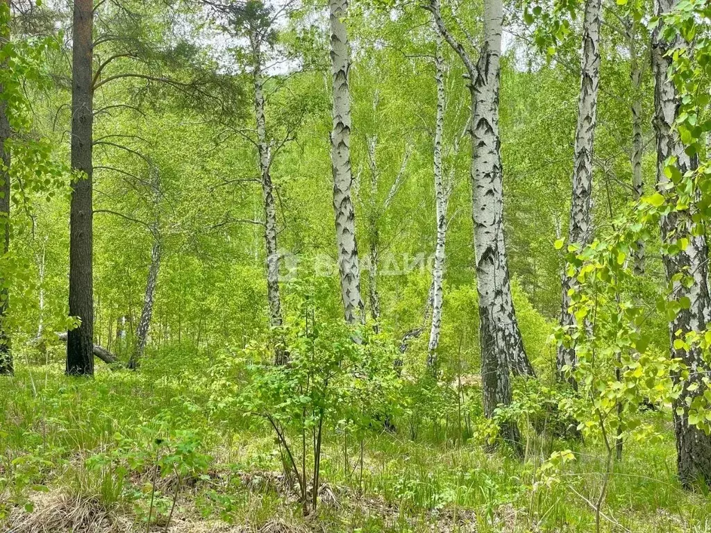 Участок в Иркутская область, Иркутский муниципальный округ, Маркова ... - Фото 1