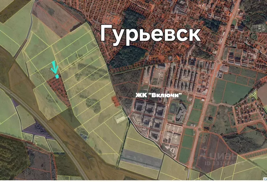 Участок в Калининградская область, Гурьевский муниципальный округ  ... - Фото 2