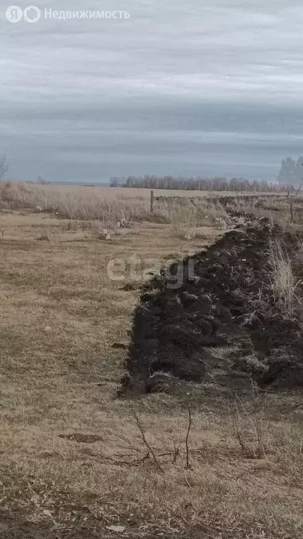 Участок в Павловский район, посёлок Сибирские Огни (10 м) - Фото 1