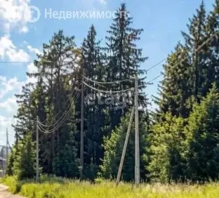 Участок в Красноярск (53 м) - Фото 1