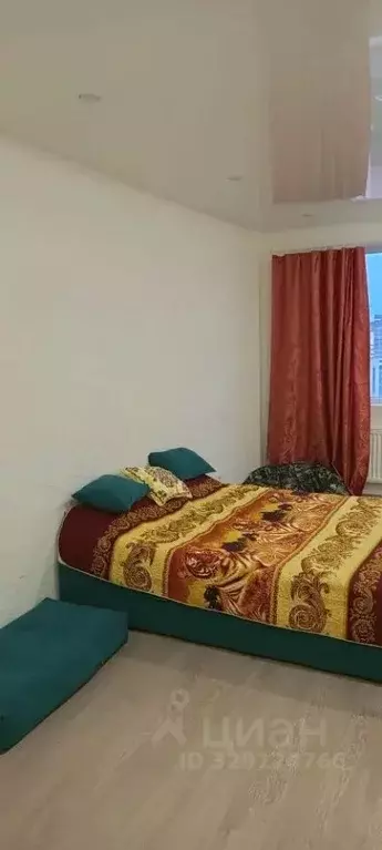 1-к кв. Ленинградская область, Никольское Тосненский район, ... - Фото 2