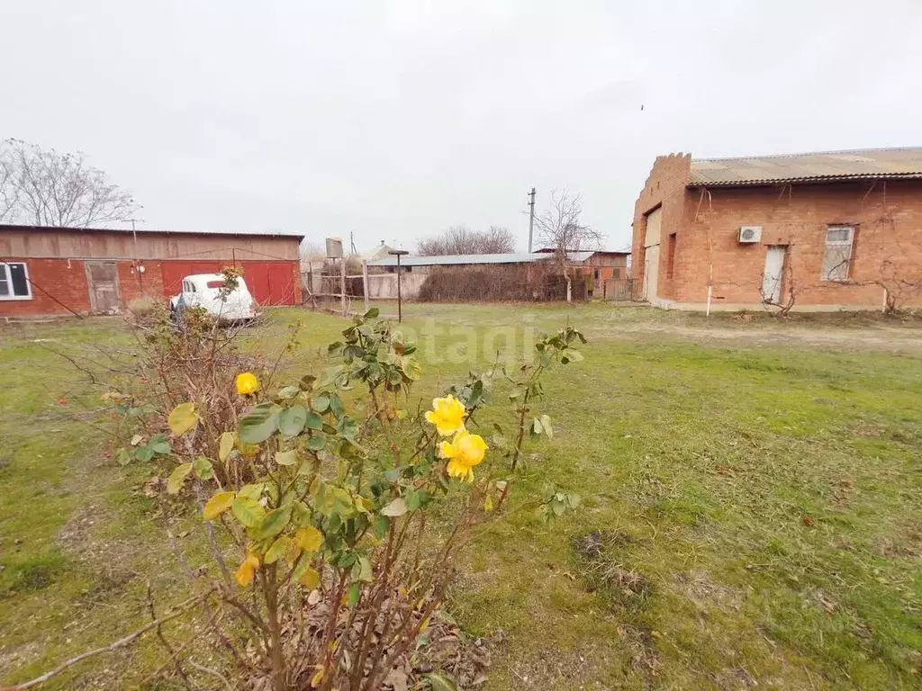 Дом в Краснодарский край, Ейский район, Должанская ст-ца  (241 м) - Фото 1