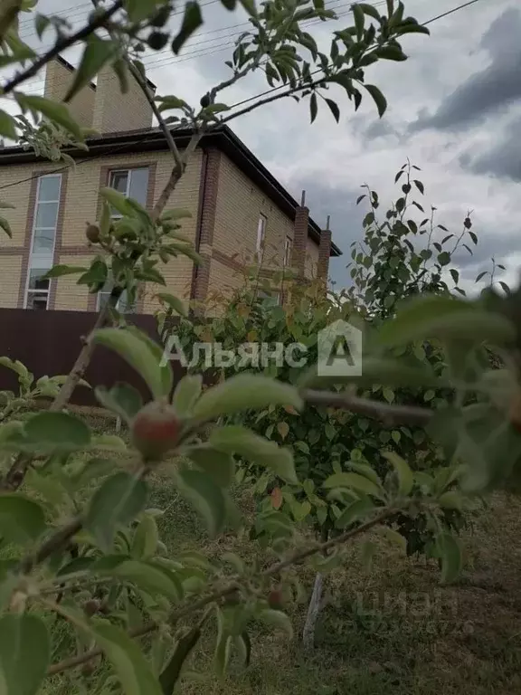 Дом в Ростовская область, Волгодонск пер. Удачный (364 м) - Фото 1