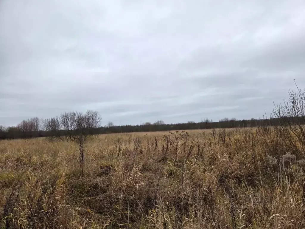 Участок в Ярославская область, Рыбинский муниципальный округ, д. ... - Фото 2