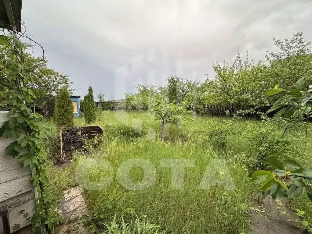 Дом в Воронежская область, Воронеж Керамик-2 СНТ, ул. 1-я, 37 (20 м) - Фото 2