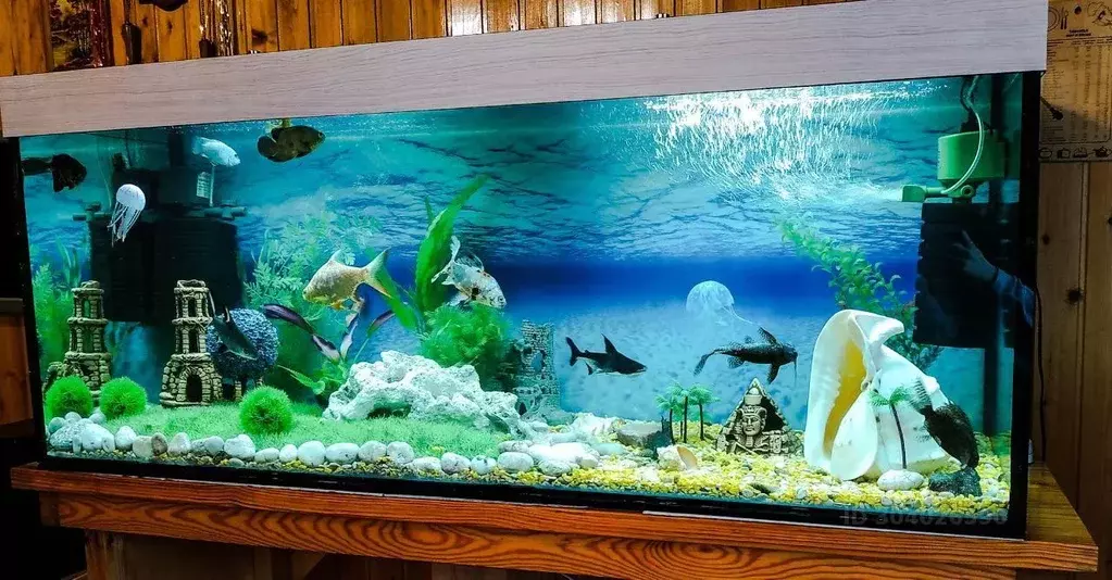 Дом в Курская область, Курский район, Нижнемедведицкий сельсовет, д. ... - Фото 0