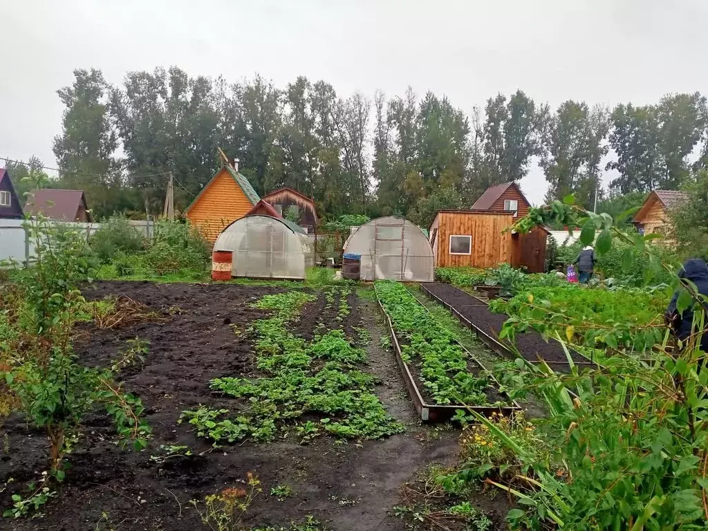 Участок в Кемеровская область, Новокузнецкий муниципальный округ, пос. ... - Фото 0