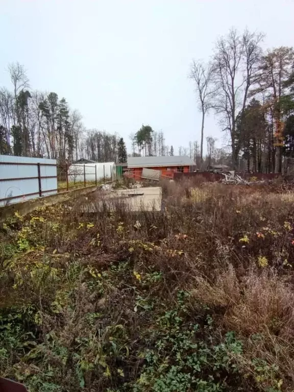 Участок в Московская область, Подольск городской округ, д. Бородино ... - Фото 2