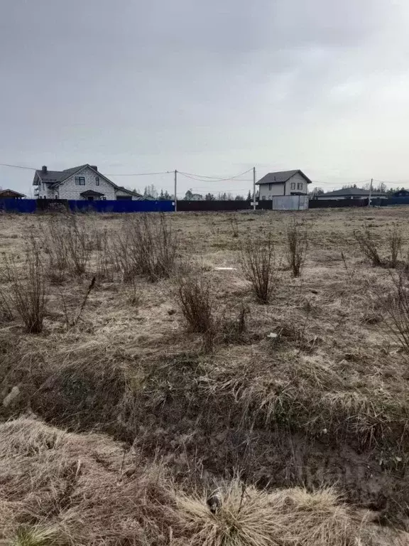 Участок в Ленинградская область, Гатчинский район, д. Антелево  (16.0 ... - Фото 1