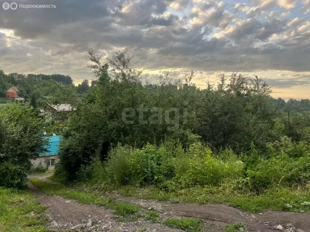 Участок в Горно-Алтайск, СНТ Рябинушка (6 м) - Фото 1