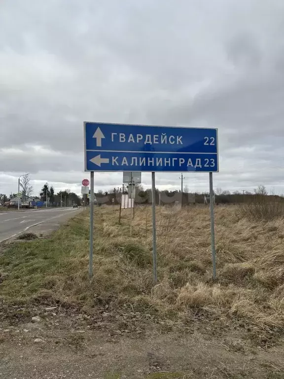 Участок в Калининградская область, Гвардейский муниципальный округ, ... - Фото 1