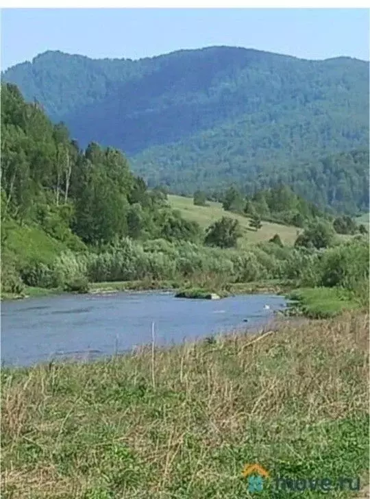 Участок в Алтайский край, Смоленский район, с. Сычевка Советская ул. ... - Фото 1