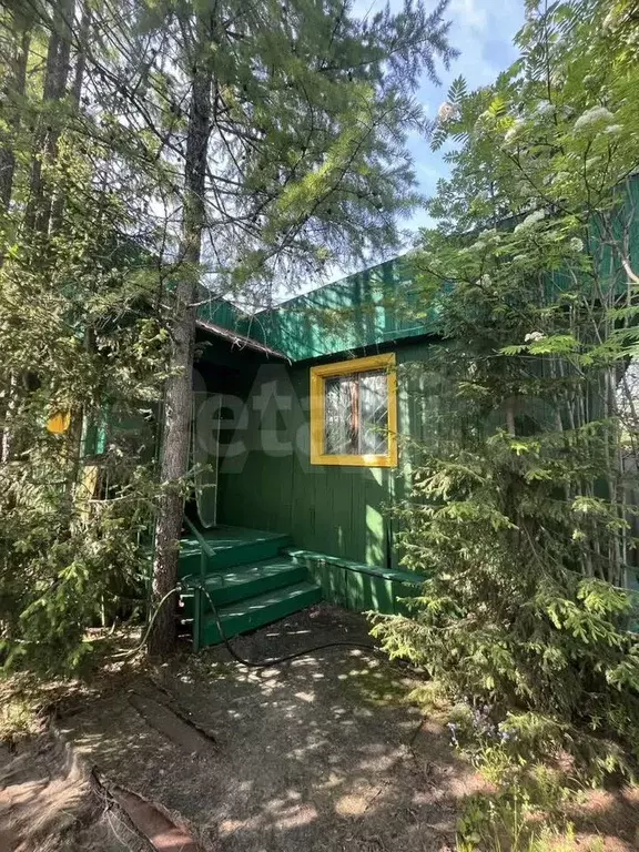 Дача 30 м на участке 12 сот. - Фото 0